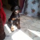 Kimbo celestial, un iluminado total.
